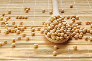 宜賓新聞網健康頻道 食品安全，從餐桌到人心