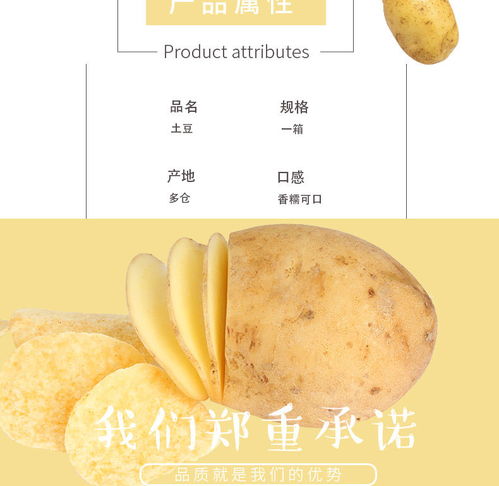 云南黃皮小土豆 現挖現賣的新鮮馬鈴薯，體驗泥土的芬芳